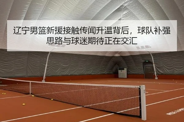辽宁男篮新援接触传闻升温背后，球队补强思路与球迷期待正在交汇